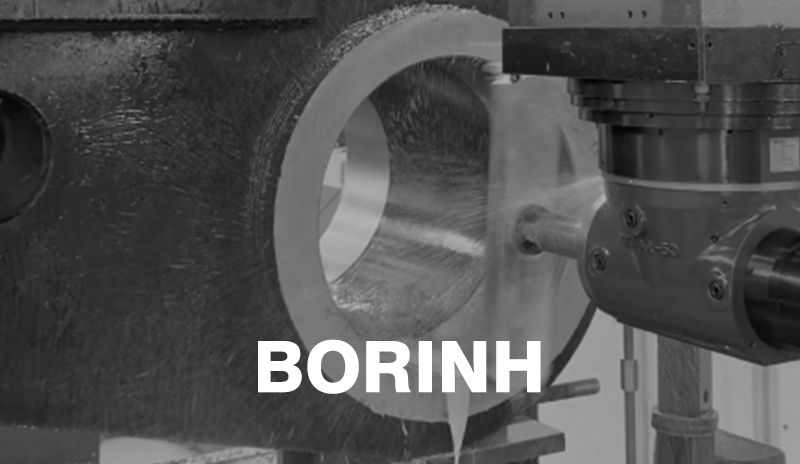 BORINH-1.jpg